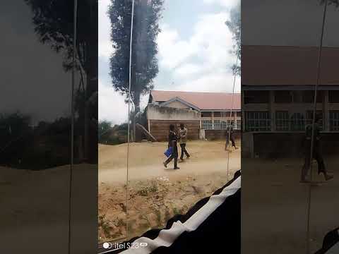 Many Goats Along The Road MercyNguku The World Traveller Ourafricanvillagehomekatutu