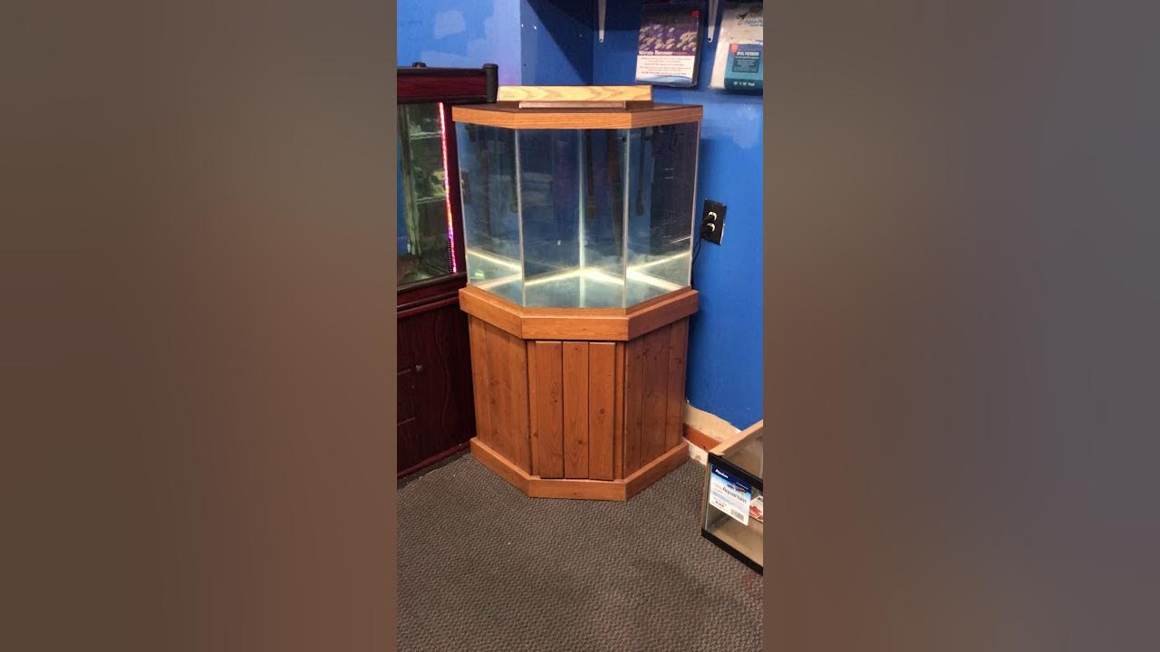 44 gallon Pentagon aquarium fish tank complete 400 YouTube