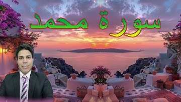 احفظ معنا سورة مُحمد - الشيخ : أحمد عابد