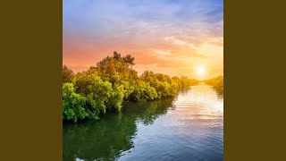 Tranquil Waterside Whispers