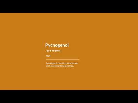 What is Pine