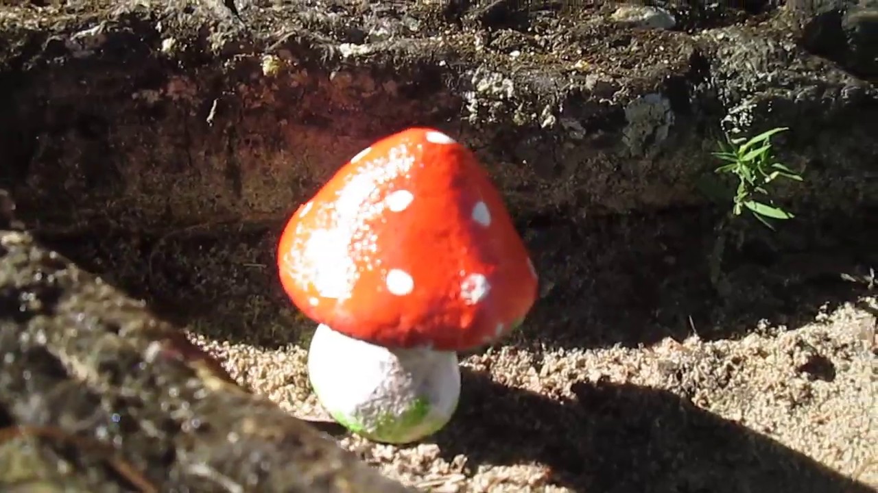 🍄Cogumelo de rejunte.🍄+ receita de massa de rejunte sem argila.