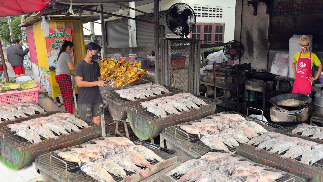 Only Fish Lovers! 3 Asian Fish Master Grilling 300 Kg of Golden Tilapia Fish | Thai Street Food