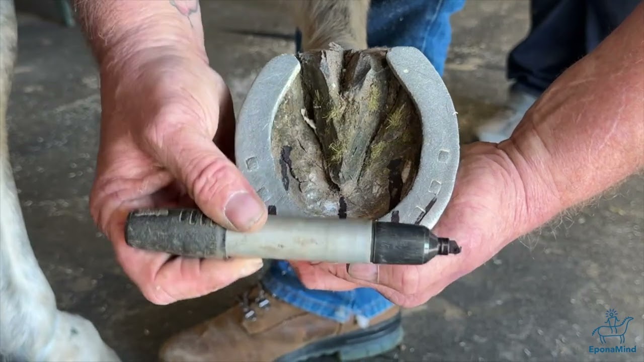 Don’t let the Hoof Deceive Your Eye