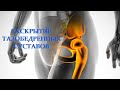 Раскрытие тазобедренных суставов / Растяжка ног