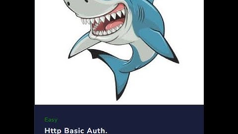 Http Basic Auth - LetsDefend Challenge