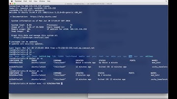 How to Access a Running Ubuntu Docker Container
