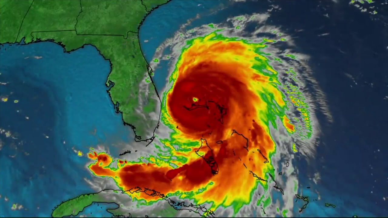 The Environmental Revolution : Policy and Action