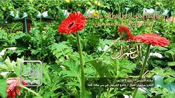 تلاوات | من سورة آل عمران - القارئ سليمان جمال ١٤٣٩ هـ