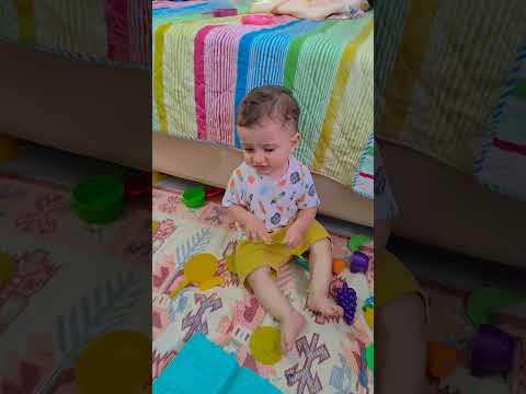 الصوص المدمر تالاونايا Music Funny Song أطفال Tiktok طيور الجنة Shorts Shortvideo