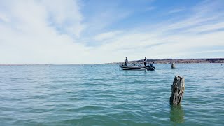 Casting Flooded Timber for Missouri River Walleyes - In Depth Outdoors TV S16 E20