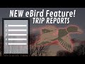 NEW eBird Feature! Trip Reports