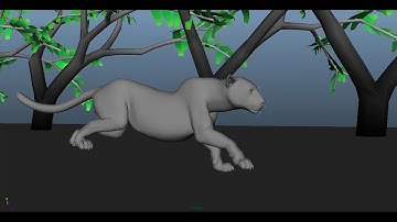 Leopard Running Animation | Maya 2018