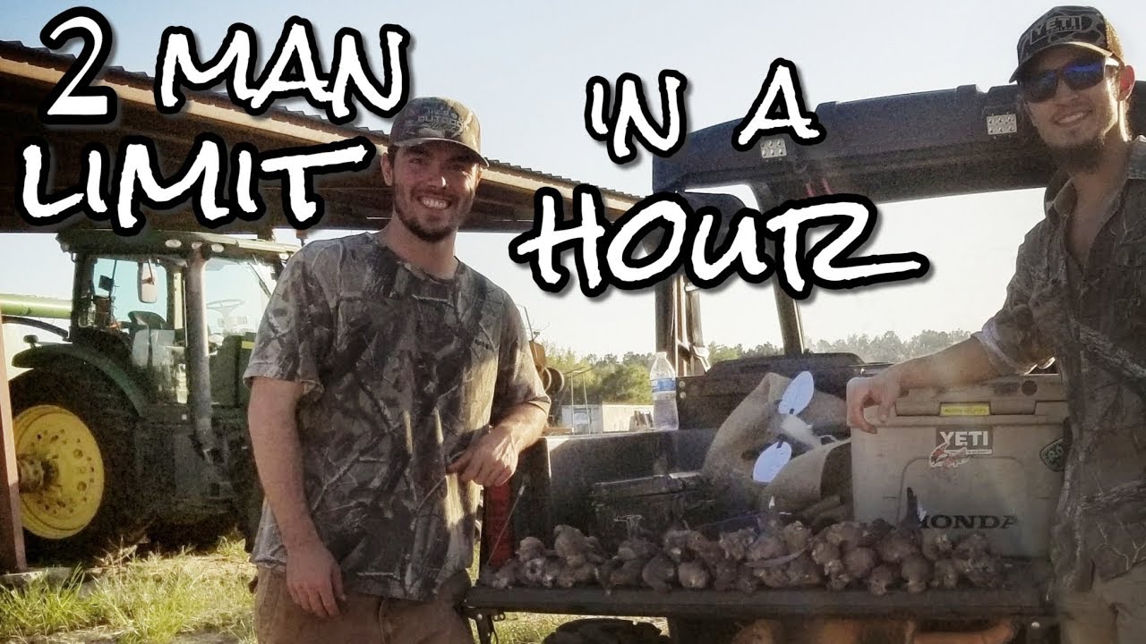 INSANE Dove Hunt AWESOME SHOT FOOTAGE YouTube