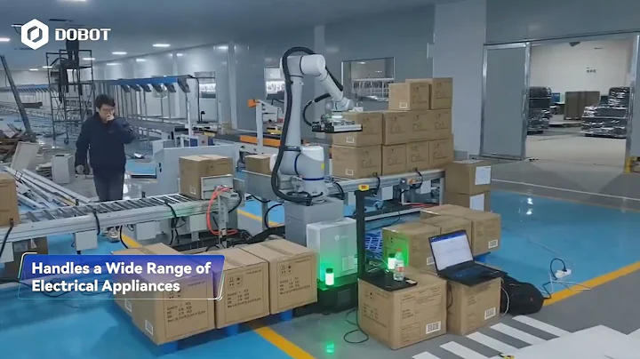 DOBOT CR Collaborative Robot • Dual-line palletizing with a cobot
