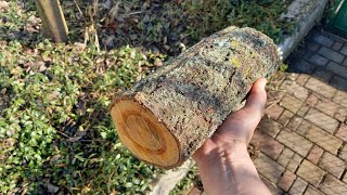 Kayısı ağacından viski fıçısı | DIY Ahşap Varil | Kendi elinizle tahta bir varil nasıl yapılır