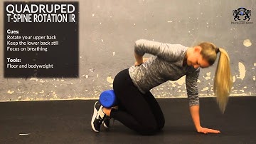 Quadruped t Spine Rotation IR