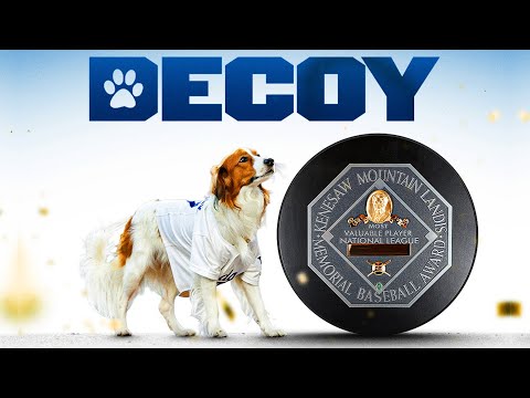 Decoy Ohtani: Most Valuable Pup! (Shohei Ohtani's dog's best moments 🥹)