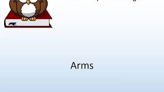 How to say Arms in English? - Pronunciation Owl