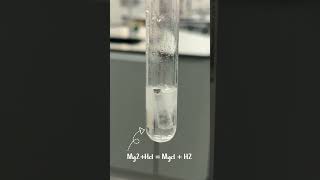 تفاعل حمض مع فلز للصف٩ كيمياء#ترند #christmas #science #shorts #singer #biology