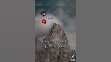 اسم القارئ:أحمد الضيف