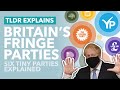 Britains weird small political parties explained  tldr news