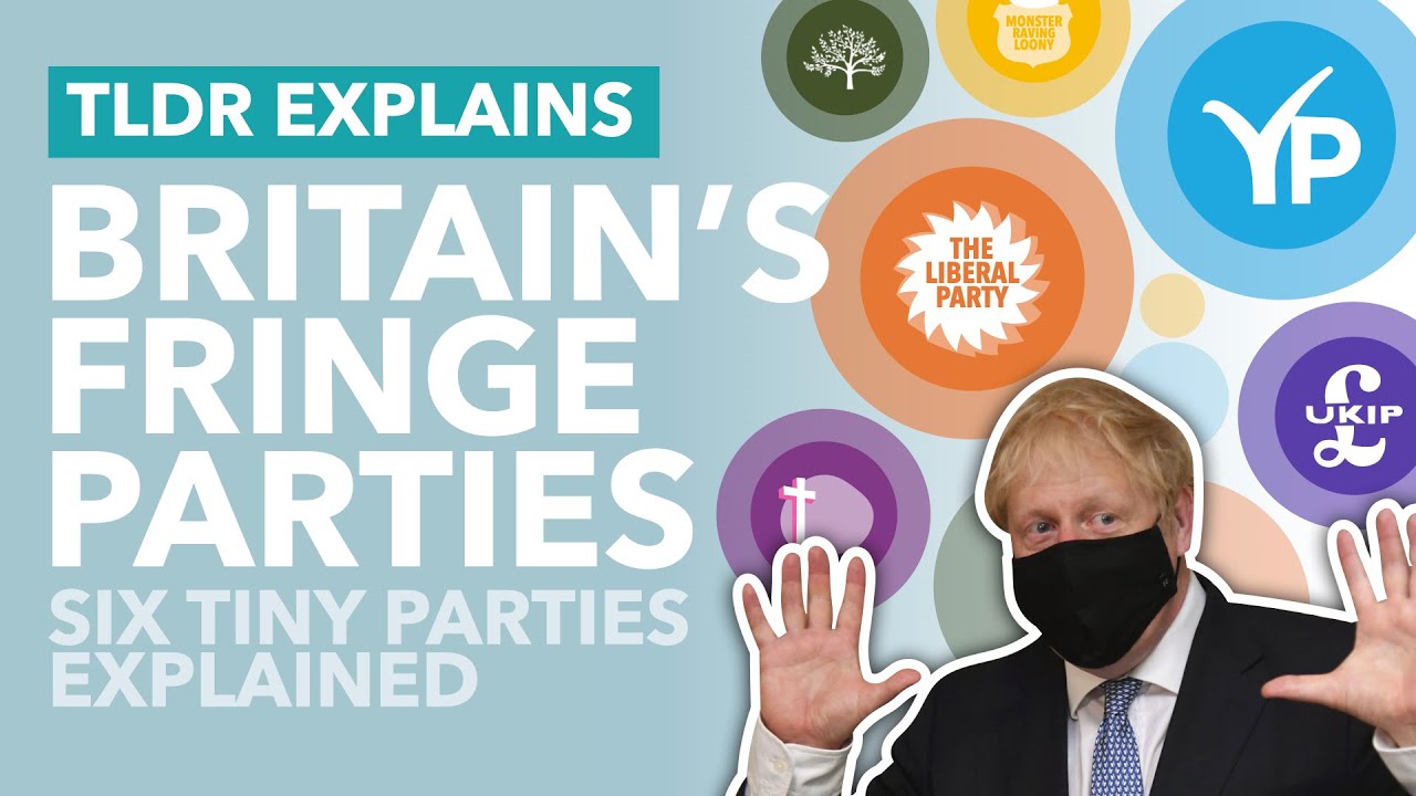 Britain's Weird, Small Political Parties Explained - TLDR News