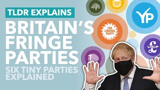 Britain's Weird, Small Political Parties Explained  TLDR News