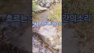 #백색소음 #물소리asmr #살자김보미tv #힐링명상 #고독사예방교육 전국강사파견