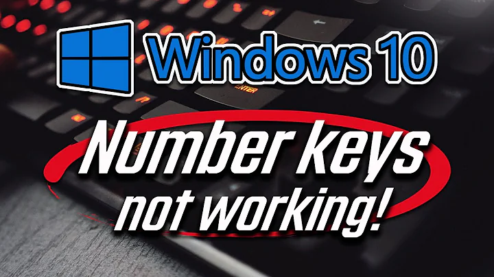Number Keys not Working in Windows 10 [2022]