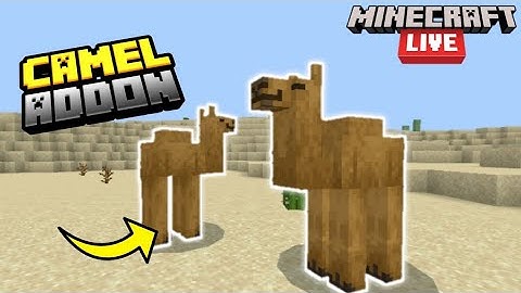 Minecraft 1.20 addon Camel Concept Addon For MCPE! | Minecraft Live 1.20! Early!