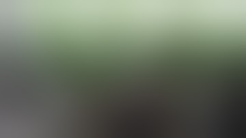 Week 2 of Flower, Belladonna prized pheno, Mars Hydro SP250