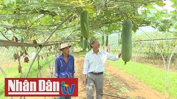 Đẩy mạnh nông nghiệp công nghệ cao tại các vùng chuyên canh