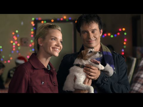 Holiday Road Trip Movie (2013) Trailer HQ - YouTube
