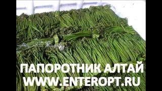 100% ПАПОРОТНИК ОРЛЯК СОЛЁНЫЙ КУПЛЮ Цена Грибы Папоротник Продам Оптом Сушёный ☎ +79235387770(Где Купить Папоротник Орляк Солёный Гриб 2017, Жми = http://enteropt.ru/paporotnik_kupit ЗВОНИ СЕЙЧАС + SMS + WHATSAPP: +7 923 538 7770 ..., 2016-05-12T14:09:49.000Z)