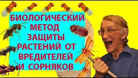 Полезные Насекомые. Биометод Защиты Растений от Вредителей. Энтомофаги, Хищники и Паразитоиды.
