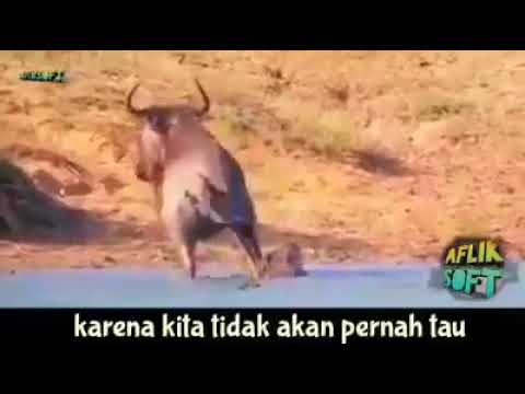 RENUNGAN - SIAPA TEMAN SIAPA LAWAN