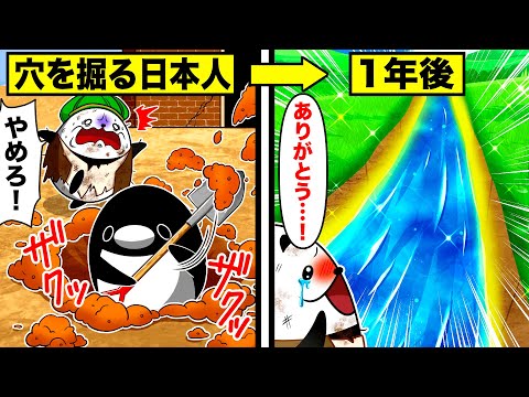 テイコウペンギン - YouTube