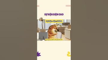 Sự hiện diện cao | Cheems Hân Hoan