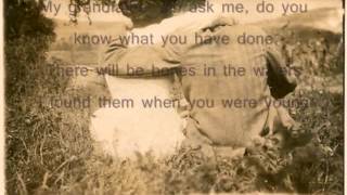 Video thumbnail of "Matthew and the Atlas - Within the Rose lyrics"