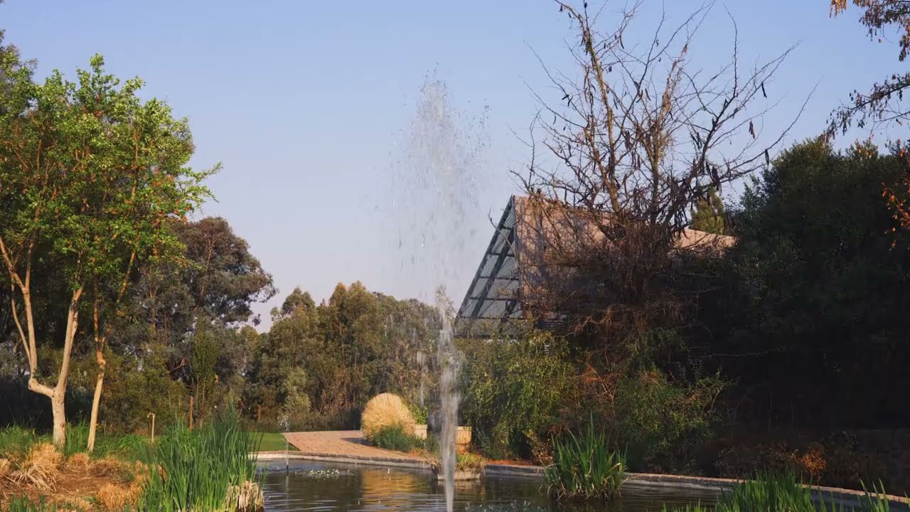 The Green House cafe a wedding venue of splendour.