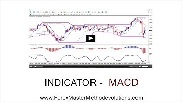 Forex Master Method Evolution INDICATORS - MACD
