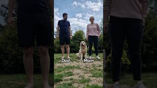 Mom vs Dad: Who Will Win the Ultimate Dog Challenge Find Out dog goldenretriever