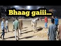 Cow qurbani 2026 scene on #trend #vlog
