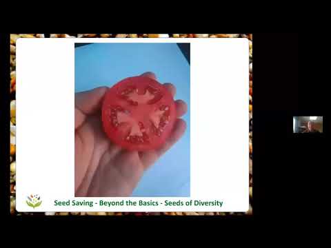 Beyond the Basics: Intermediate to Advanced Seed Saving with Bob Wildfong