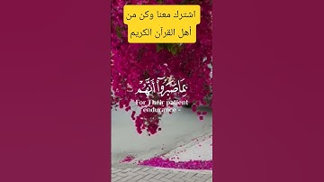 إني جزيتهم اليوم بما صبروا - قرآن كريم يريح القلب ❤️❤️