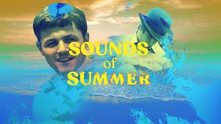 Video thumbnail of "The Beach Boys – Sounds Of Summer: The Very Best Of The Beach Boys"