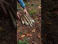 Survival Bushcraft Skills Survival Camping Lifehacks Outdoors Bushcraft Shorts Skills Ideas