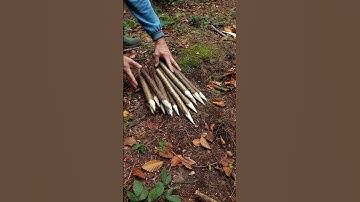Survival bushcraft Skills #survival #camping #lifehacks #outdoors #bushcraft #shorts #skills #ideas