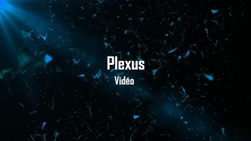 Vidéo | Plexus | Animation | Lumière | YouTube